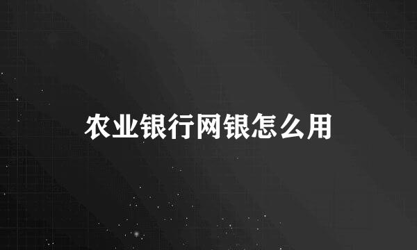 农业银行网银怎么用