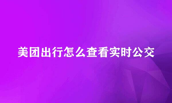 美团出行怎么查看实时公交