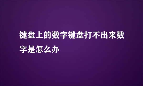 键盘上的数字键盘打不出来数字是怎么办