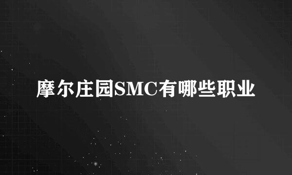 摩尔庄园SMC有哪些职业