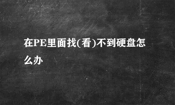 在PE里面找(看)不到硬盘怎么办