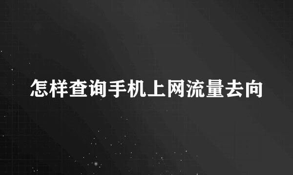 怎样查询手机上网流量去向