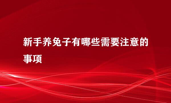 新手养兔子有哪些需要注意的事项