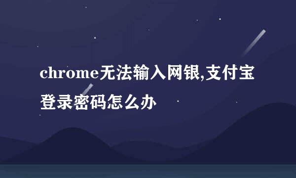 chrome无法输入网银,支付宝登录密码怎么办