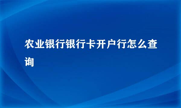 农业银行银行卡开户行怎么查询