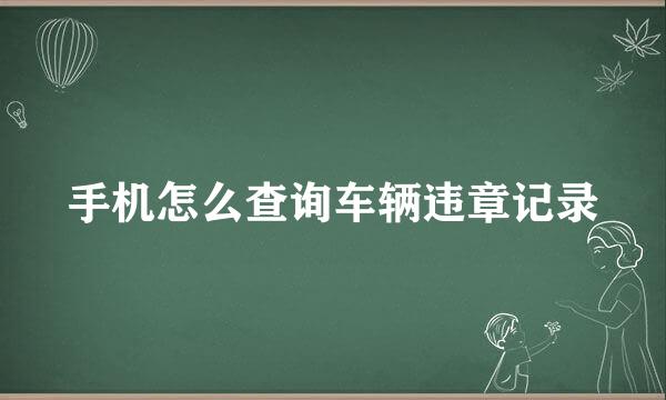 手机怎么查询车辆违章记录