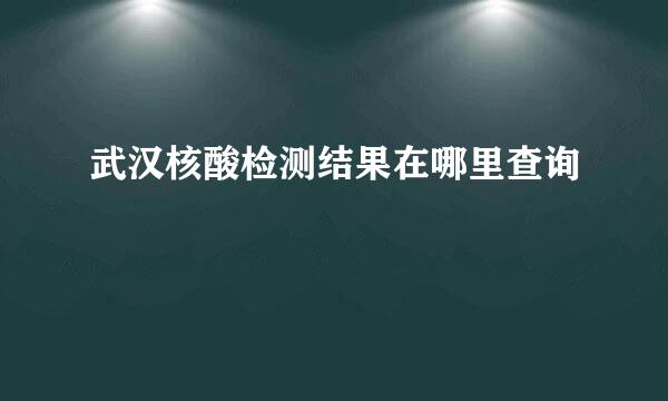 武汉核酸检测结果在哪里查询