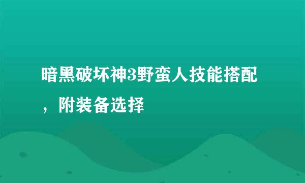 暗黑破坏神3野蛮人技能搭配，附装备选择