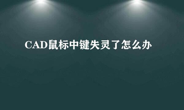 CAD鼠标中键失灵了怎么办