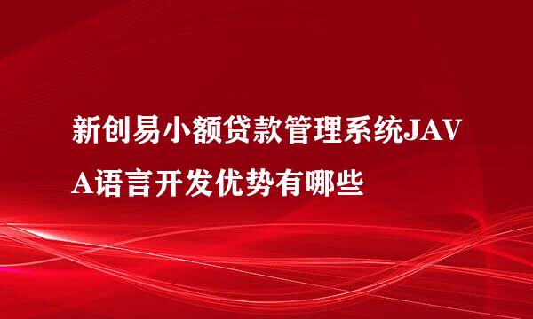 新创易小额贷款管理系统JAVA语言开发优势有哪些