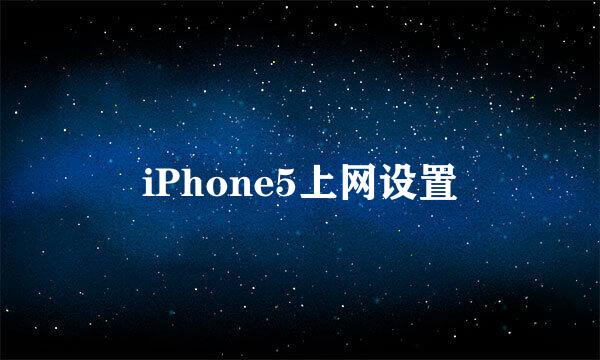 iPhone5上网设置