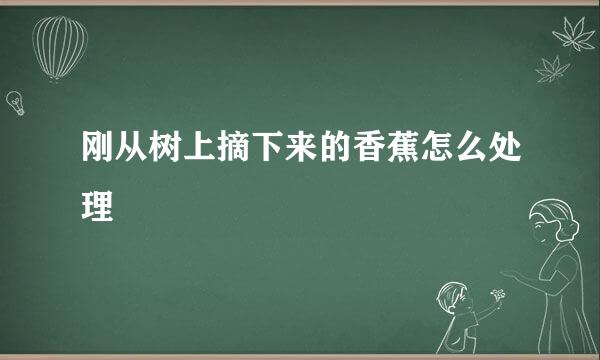 刚从树上摘下来的香蕉怎么处理