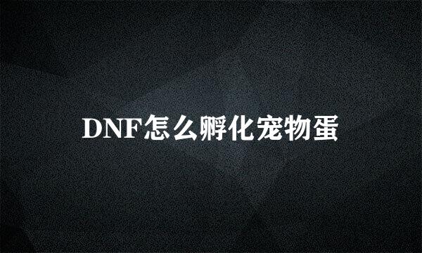 DNF怎么孵化宠物蛋