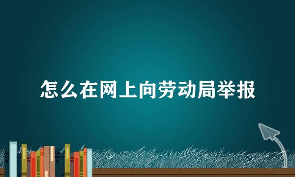 怎么在网上向劳动局举报