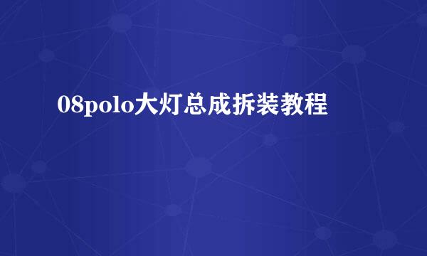 08polo大灯总成拆装教程