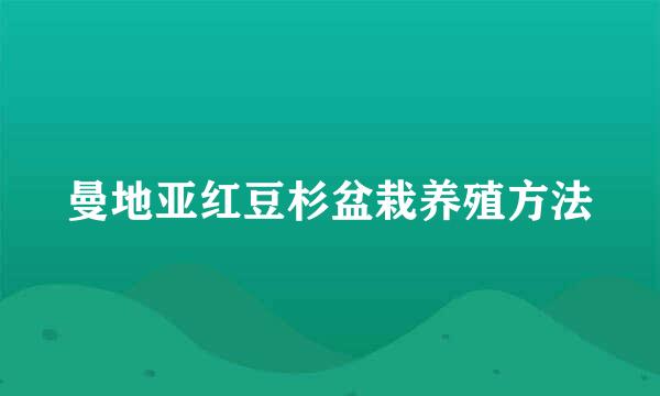 曼地亚红豆杉盆栽养殖方法