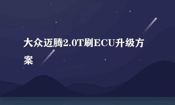 大众迈腾2.0T刷ECU升级方案