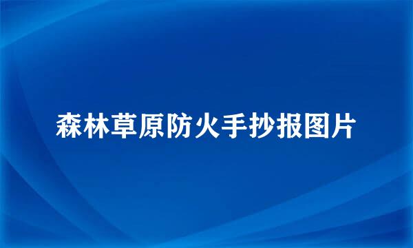 森林草原防火手抄报图片