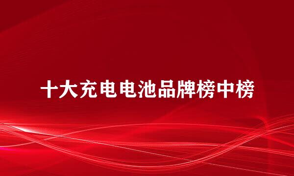 十大充电电池品牌榜中榜