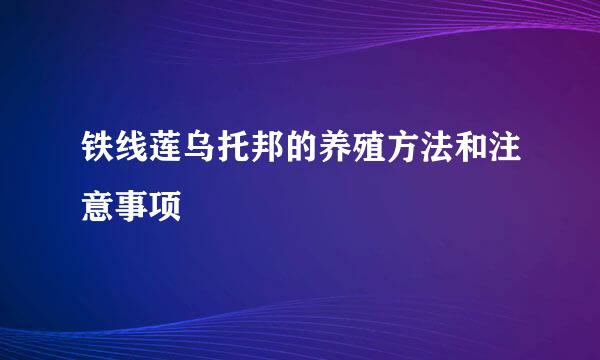 铁线莲乌托邦的养殖方法和注意事项