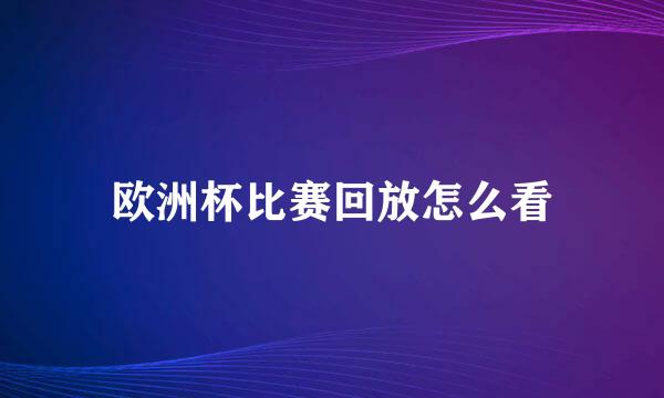 欧洲杯比赛回放怎么看