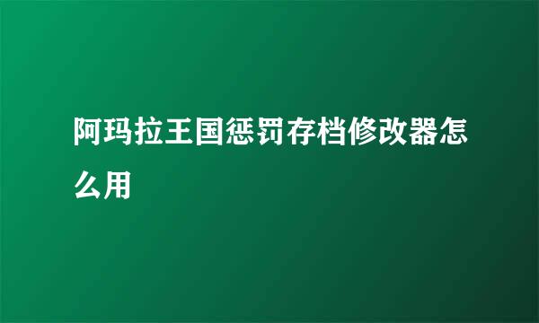 阿玛拉王国惩罚存档修改器怎么用