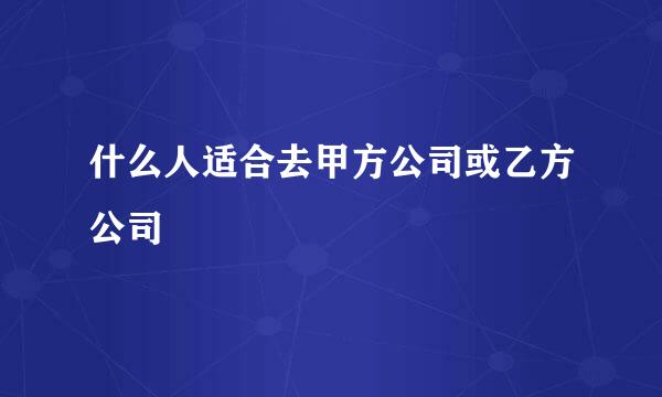 什么人适合去甲方公司或乙方公司