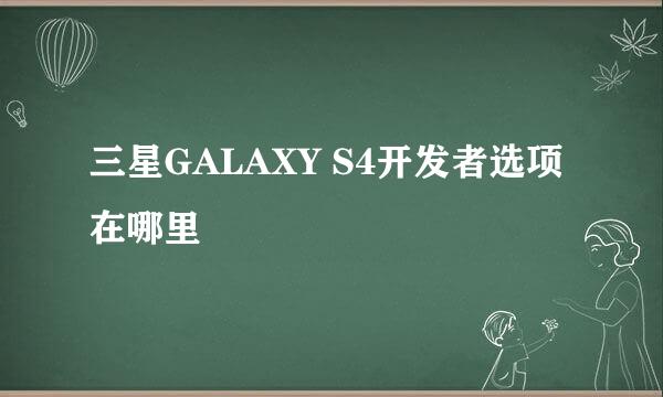 三星GALAXY S4开发者选项在哪里