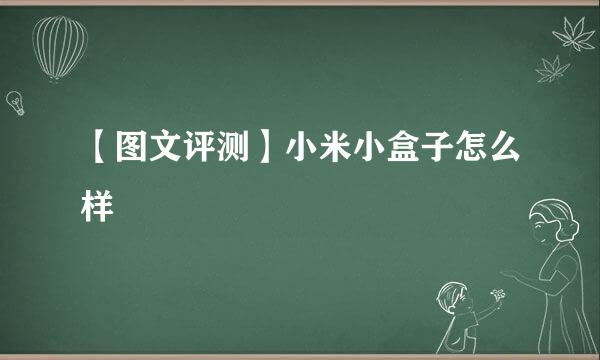 【图文评测】小米小盒子怎么样