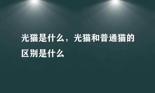 光猫是什么，光猫和普通猫的区别是什么