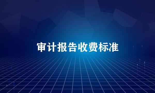 审计报告收费标准