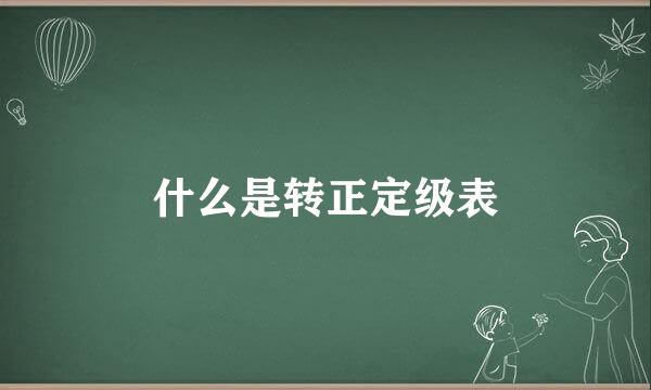 什么是转正定级表