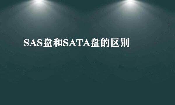 SAS盘和SATA盘的区别