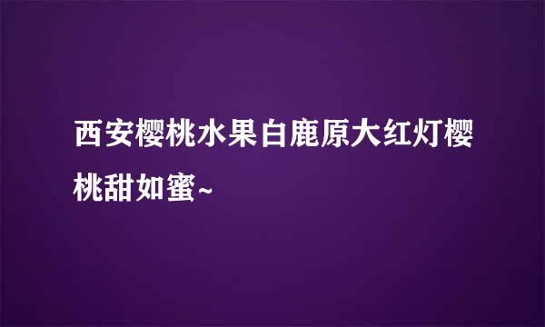 西安樱桃水果白鹿原大红灯樱桃甜如蜜~