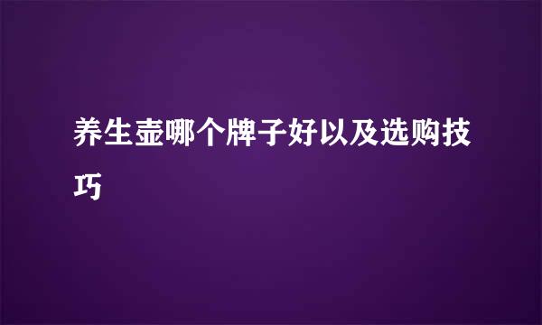 养生壶哪个牌子好以及选购技巧