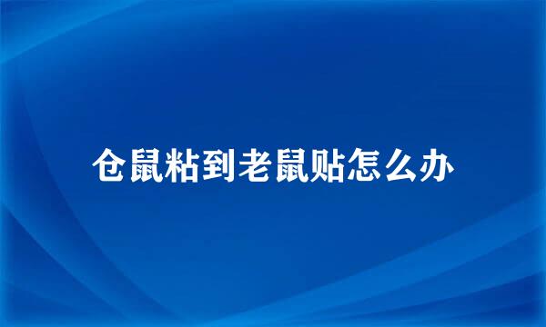 仓鼠粘到老鼠贴怎么办