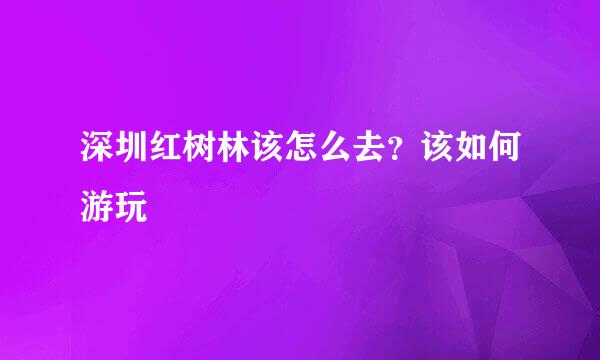 深圳红树林该怎么去？该如何游玩