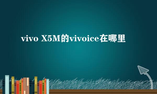 vivo X5M的vivoice在哪里