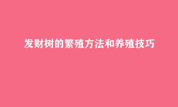 发财树的繁殖方法和养殖技巧