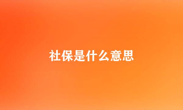 社保是什么意思