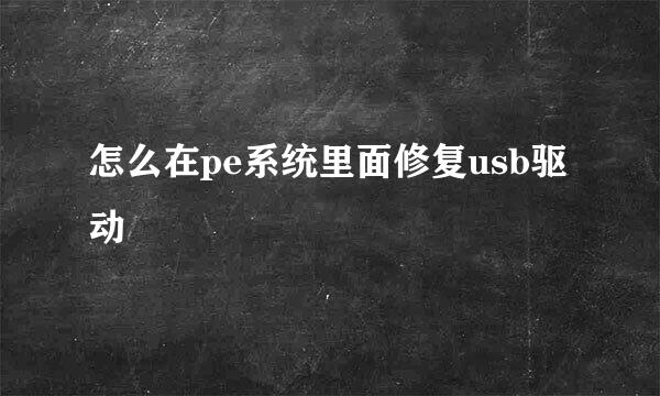 怎么在pe系统里面修复usb驱动