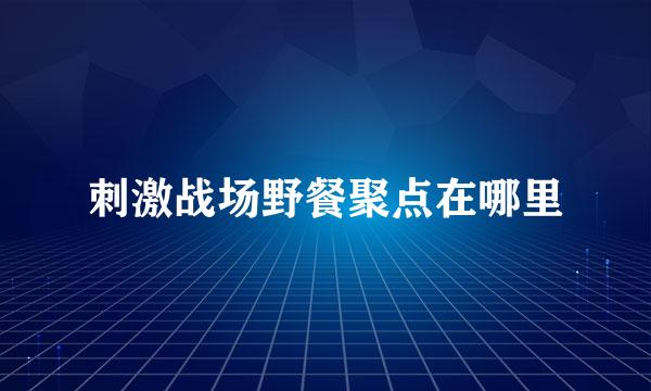 刺激战场野餐聚点在哪里