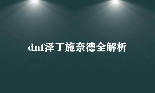 dnf泽丁施奈德全解析