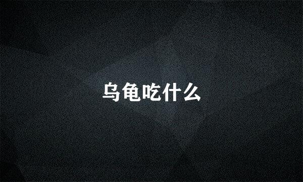 乌龟吃什么