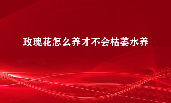 玫瑰花怎么养才不会枯萎水养