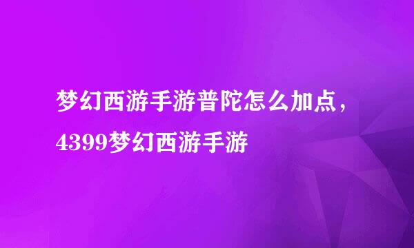 梦幻西游手游普陀怎么加点，4399梦幻西游手游