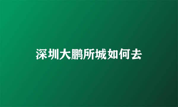 深圳大鹏所城如何去