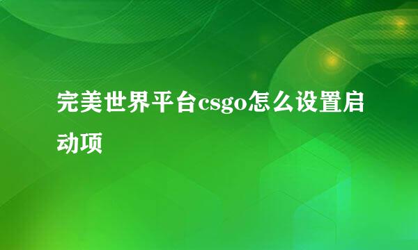 完美世界平台csgo怎么设置启动项