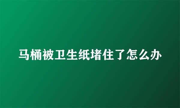 马桶被卫生纸堵住了怎么办