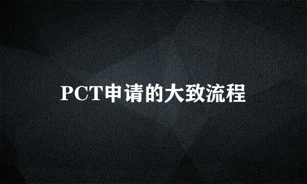 PCT申请的大致流程